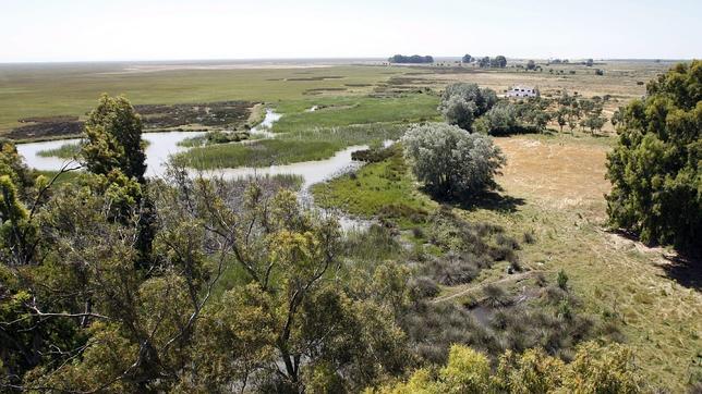 Un sistema predice la capacidad de un suelo para autodescontaminarse