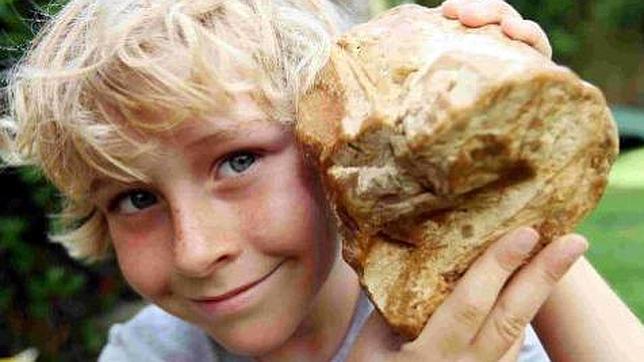 Un niño podría vender vómito de ballena por 50.000 euros