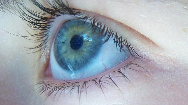 Una televisión controlada con los ojos