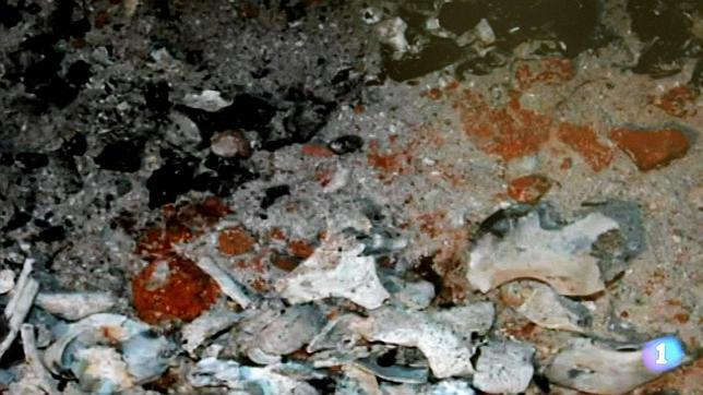 Los restos son «inequívocamente» humanos, según Toxicología