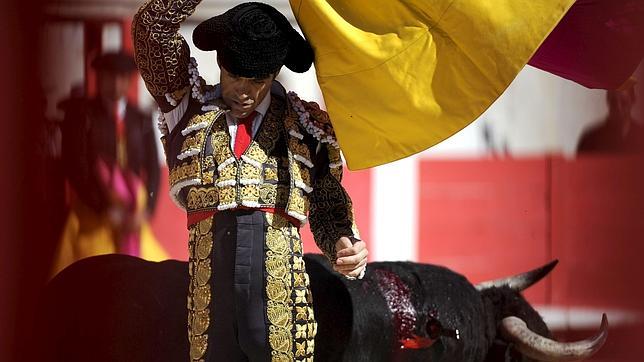 José Tomás, ¿referente del toreo actual?