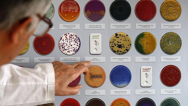 Un norovirus, posible causa de la ola de gastroenteritis que azota Alemania