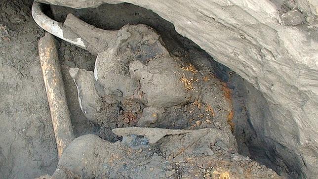 Un niño de 11 años descubre un mamut en la tundra