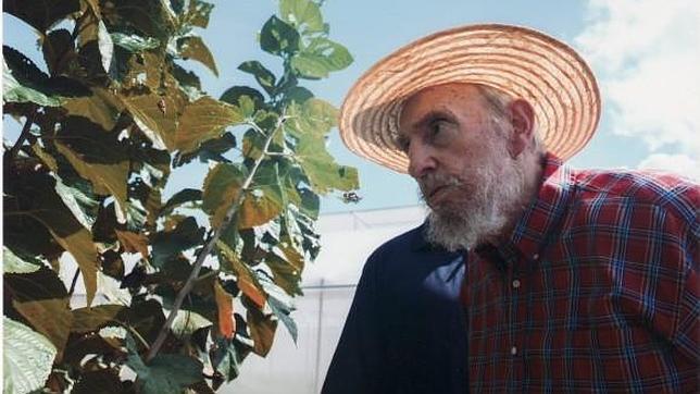 Fidel Castro responde a ABC y tacha de «estupideces» los rumores sobre su salud