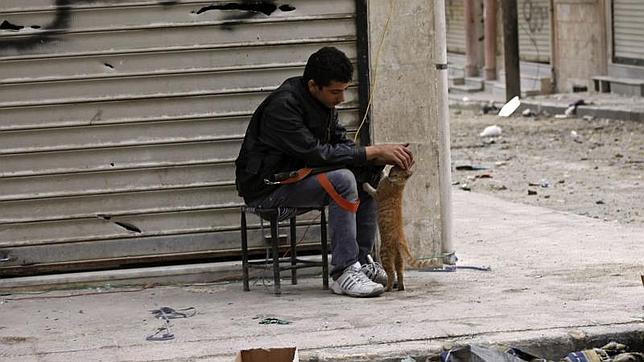 Al Assad decreta una amnistía general en Siria que excluye a los «terroristas»