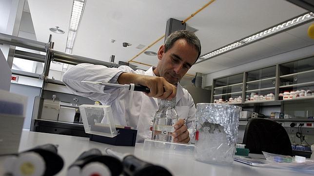 Cinco centros de Investigación reciben la distinción de Excelencia Severo Ochoa
