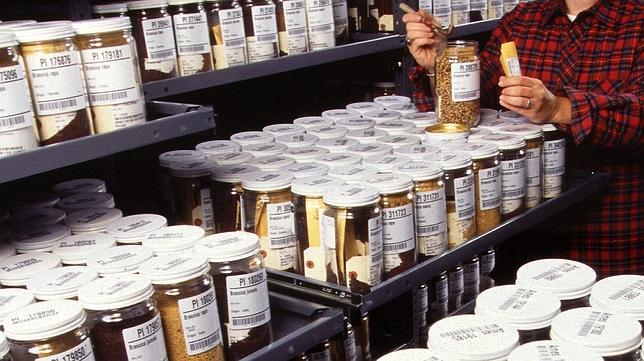 El «Arca de Noé» de las semillas