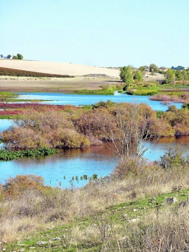 Vuelven los ojos del Guadiana