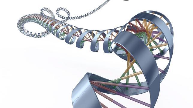 Descubren en células de la piel un mosaico genético en lugar de un ADN idéntico