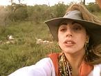 Lady Gaga aprovecha su gira para irse de safari
