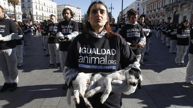 Exhiben en la Puerta del Sol cadáveres de animales en defensa de sus derechos