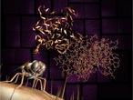 Los diez grandes descubrimientos científicos de 2012, según Science