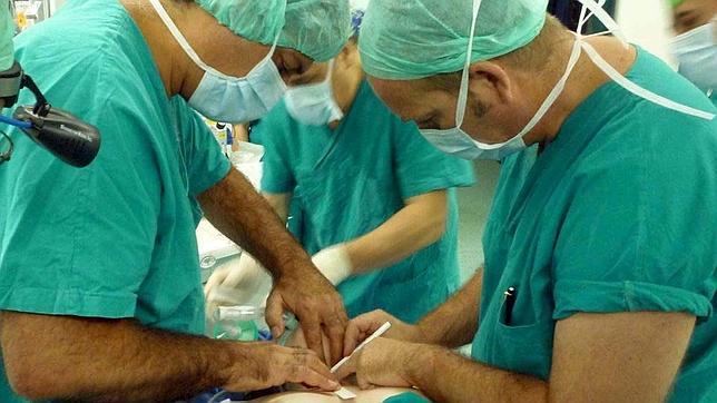 Sanidad refuerza la seguridad del donante vivo