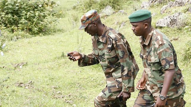 Naciones Unidas estudia el despliegue de «drones» en el Congo