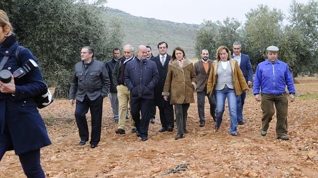 Cospedal muestra su apoyo al sector olivarero ante la difícil campaña