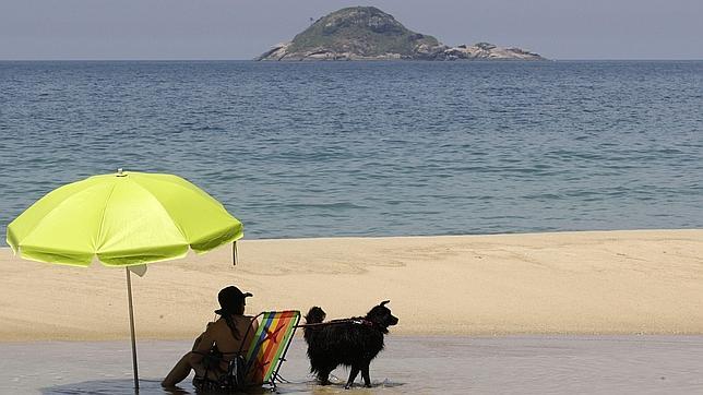 Nueve maneras de viajar con mascotas