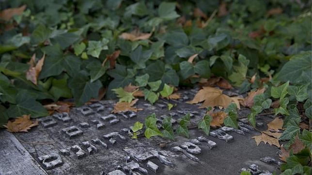 Lanzan el primer seguro de decesos que garantiza un funeral ecológico