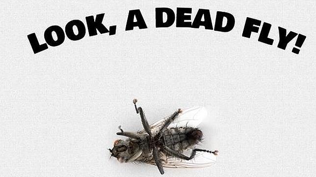 Las 5 páginas más inútiles de la web