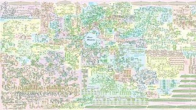 Crean el «Google Maps» del metabolismo humano