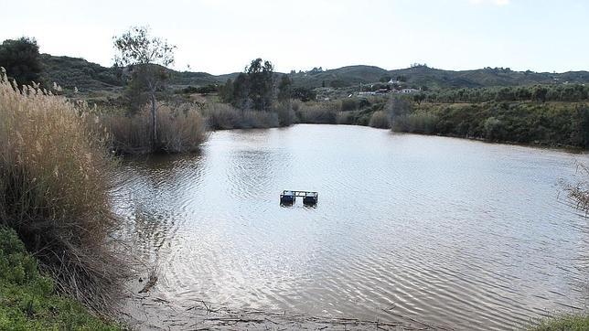Buscan un gran reptil de dos metros en una laguna de Mijas