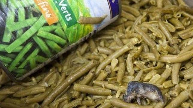 Encuentran un ratón muerto dentro de una lata de judías verdes