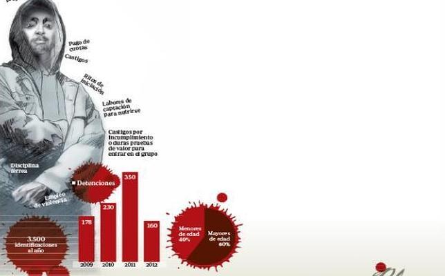 Las bandas latinas buscan «sangre nueva» de menores