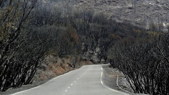 Sostenibilidad se vio sin fondos tras los incendios del año pasado