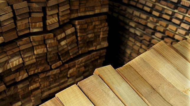 El palisandro, el ébano y la yuca podrían aumentar su nivel de protección