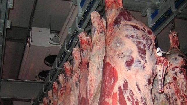 Rusia amenaza con restringir las importaciones de carne y lácteos que procedan de España