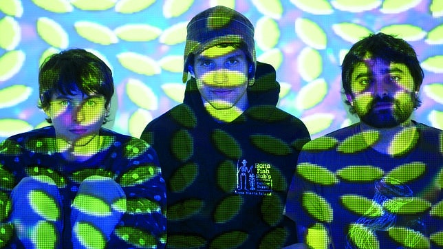 Animal Collective cancela su gira hasta mayo por problemas de salud del cantante