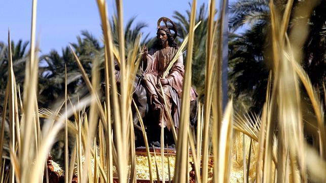 Una palma ilicitana de tres metros y medio para el Papa Francisco