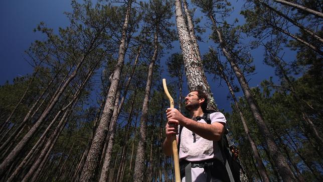 Para conseguir la «Compostela» es preciso caminar, al menos, 100 kilómetros
