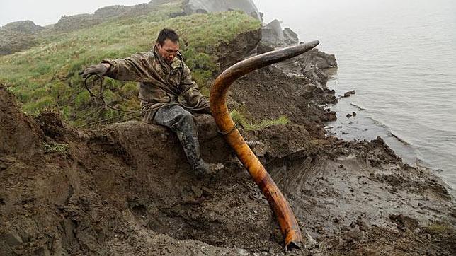 Los asombrosos cazadores de colmillos de mamuts