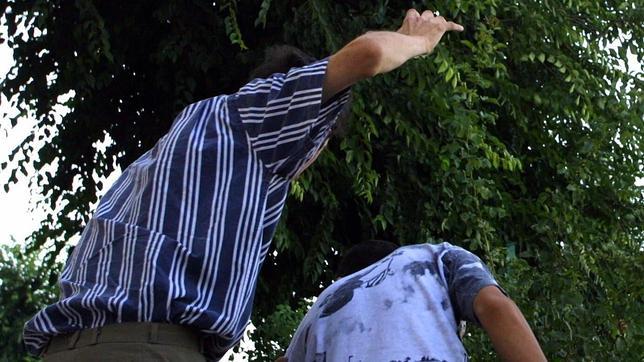 El Gobierno quiere evitar que los hijos sean una víctima más de la violencia de género