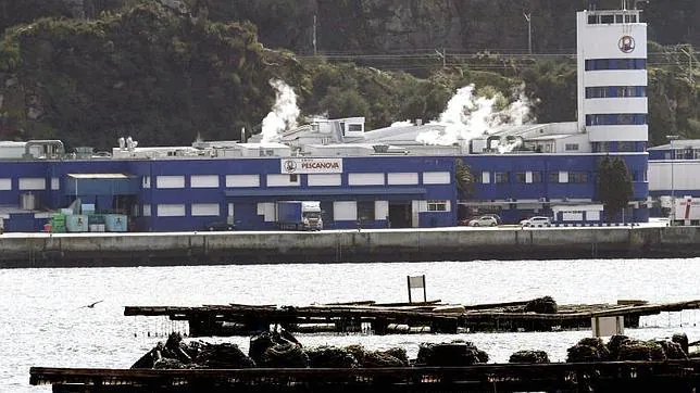 La CNMV rechaza las cuentas de Pescanova y amenaza con sanciones