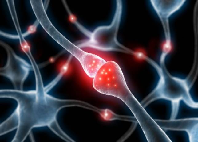 ¿Los primeros marcadores del alzhéimer?