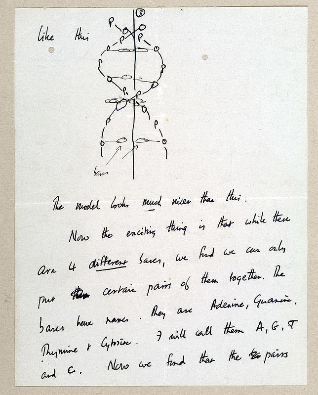 La valiosa carta sobre el descubrimiento del ADN dirigida a un niño de 12 años