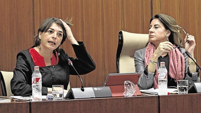 La consejera de Vivienda andaluza envió 142 avisos de desahucio a familias