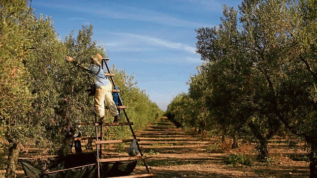 El campo español exporta calidad