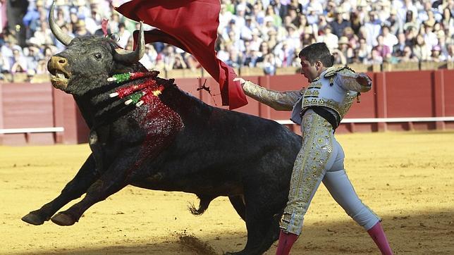 Triunfo de Escribano con una emocionante corrida de Miura en Sevilla