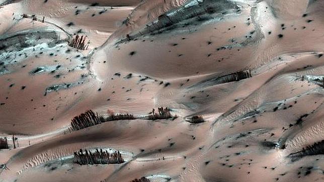 Los «árboles» de Marte, fotografiados por la sonda MRO