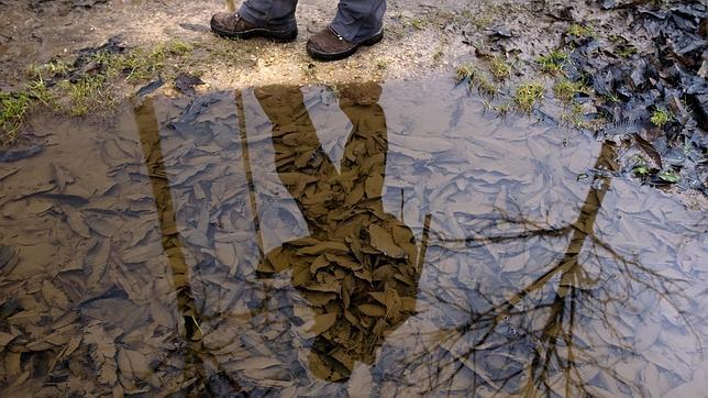 El Camino de Santiago, en los teatros de Uruguay