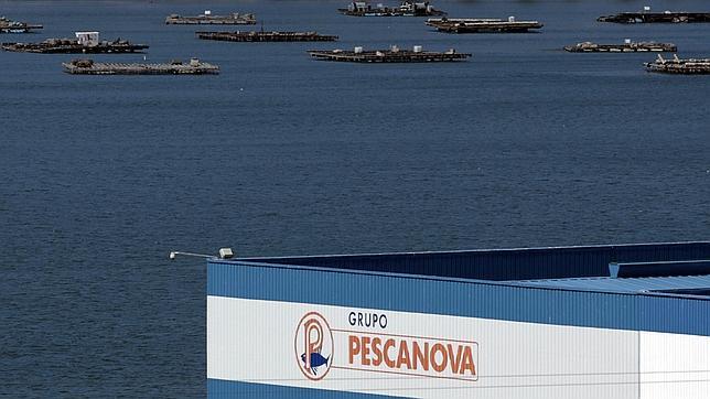 Deloitte perfilará este lunes con la banca el préstamo a Pescanova, vital para la firma