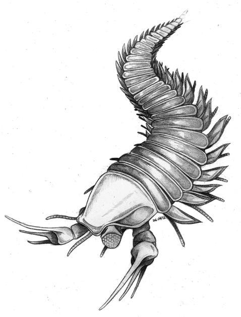 La criatura «Johnny Depp» con garras como tijeras