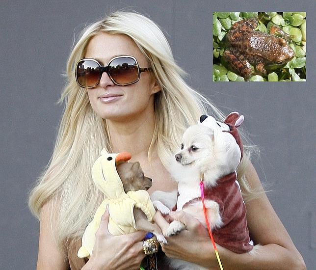 Diez famosos, diez curiosidades