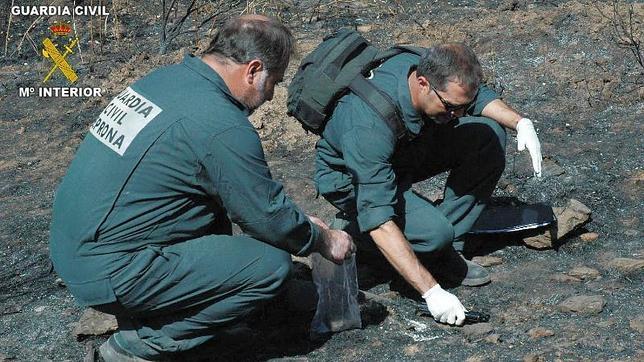 Sesenta pirómanos detenidos en 2012