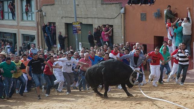 Benavente vuelve a cumplir con el Toro Enmaromado