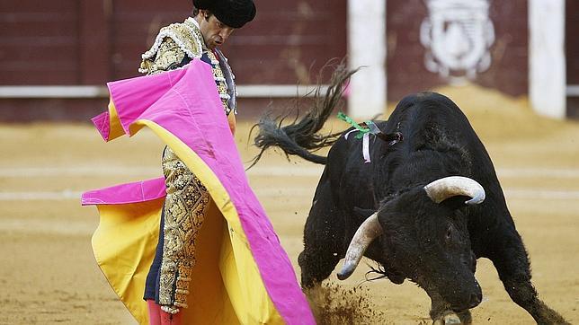 110 motivos por los que los usuarios de ABC.es aman los toros