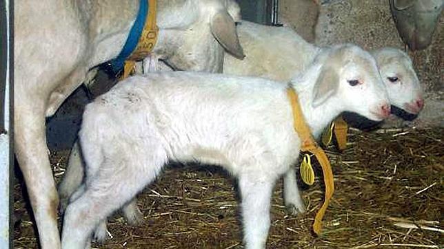 Cincuenta mujeres aprenden a ser pastoras