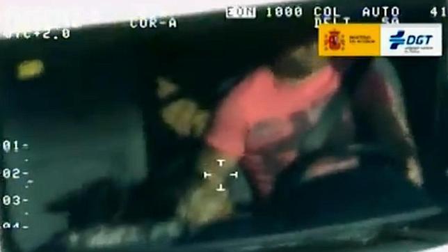 Afeitarse, llevar animales sueltos y otras acciones prohibidas al volante